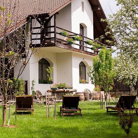 Casa Mosului - Transfagarasan Bed & Breakfast Cîrţişoara Esterno foto