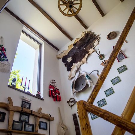 Casa Mosului - Transfagarasan Bed & Breakfast Cîrţişoara Esterno foto