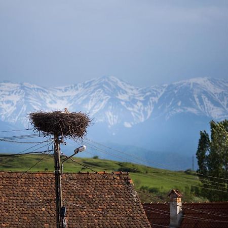 Casa Mosului - Transfagarasan Bed & Breakfast Cîrţişoara Esterno foto