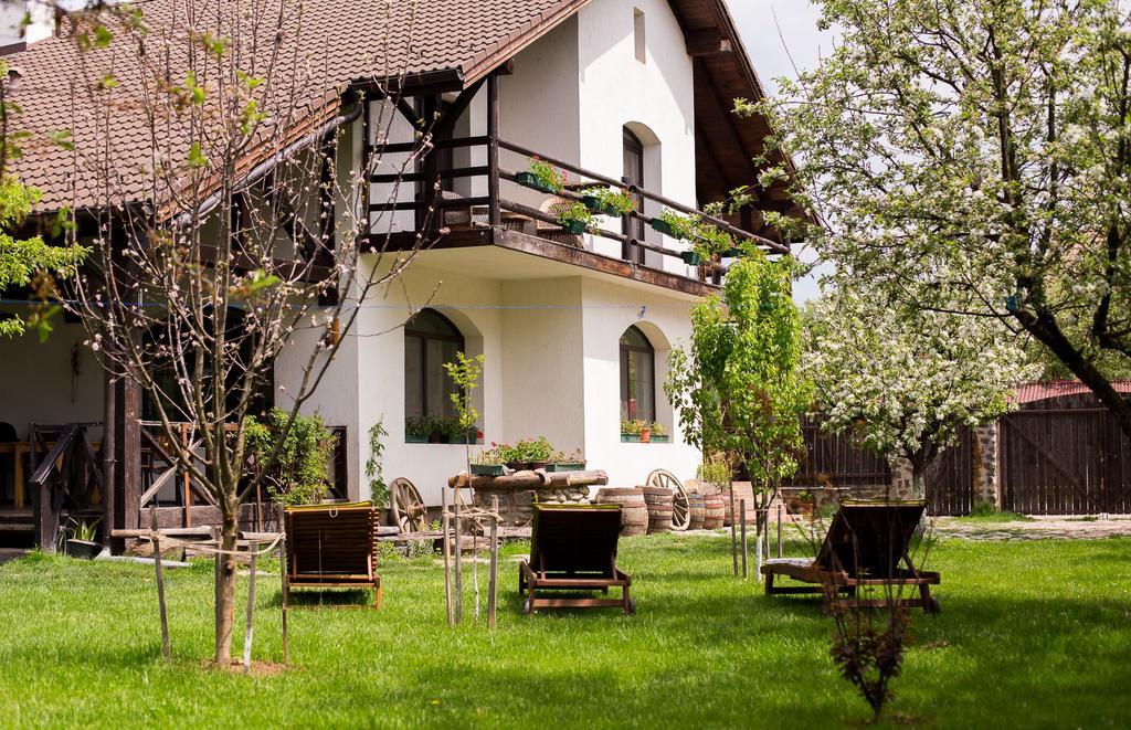 Casa Mosului - Transfagarasan Bed & Breakfast Cîrţişoara Esterno foto