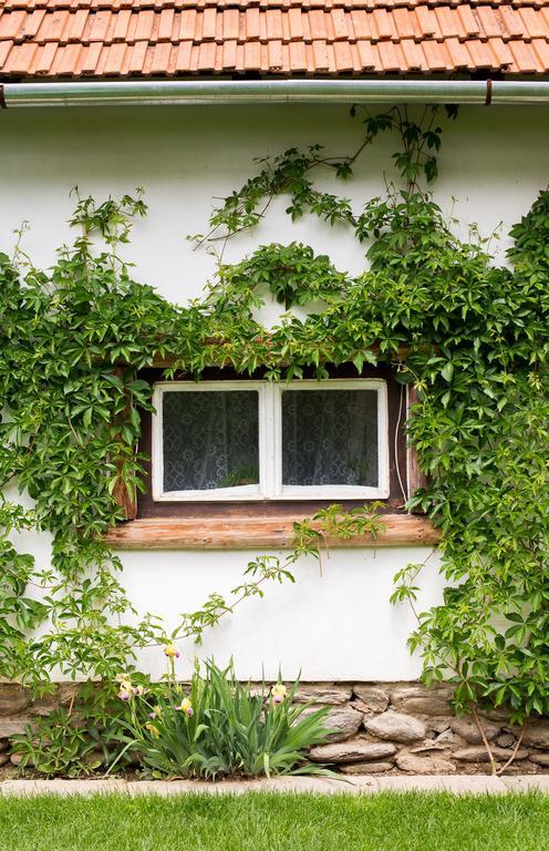 Casa Mosului - Transfagarasan Bed & Breakfast Cîrţişoara Esterno foto