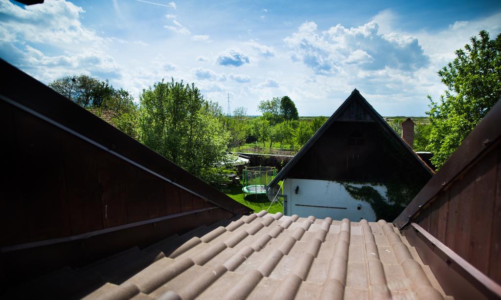 Casa Mosului - Transfagarasan Bed & Breakfast Cîrţişoara Esterno foto
