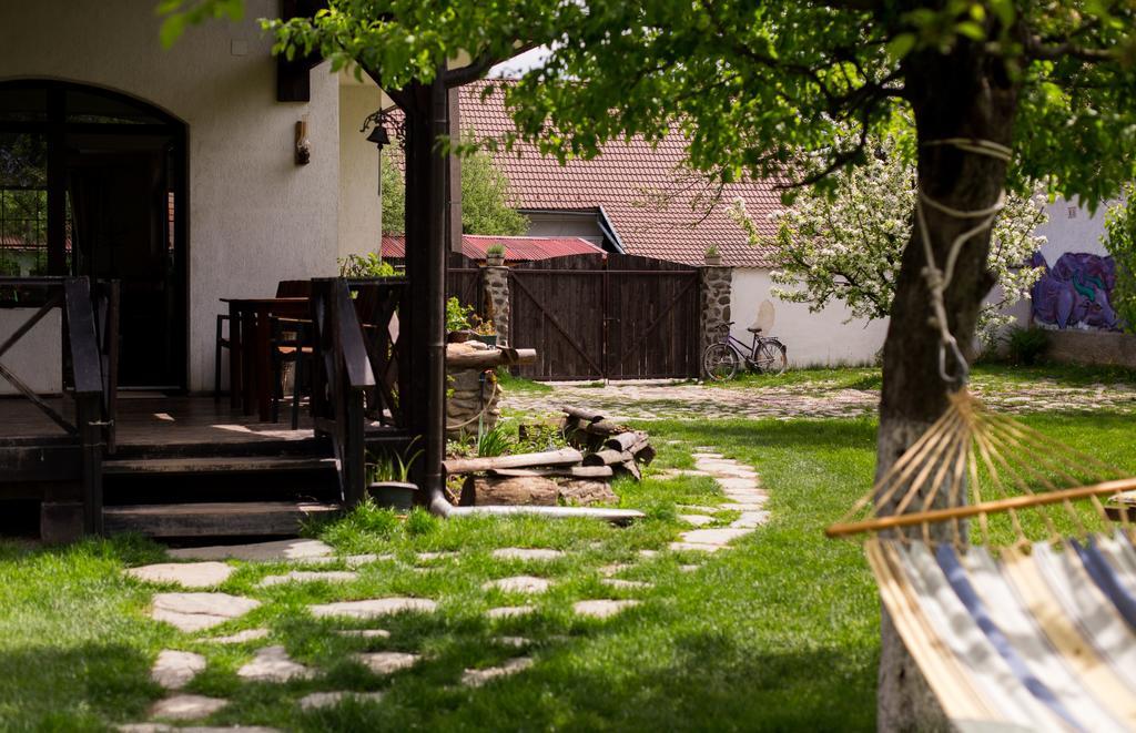 Casa Mosului - Transfagarasan Bed & Breakfast Cîrţişoara Esterno foto