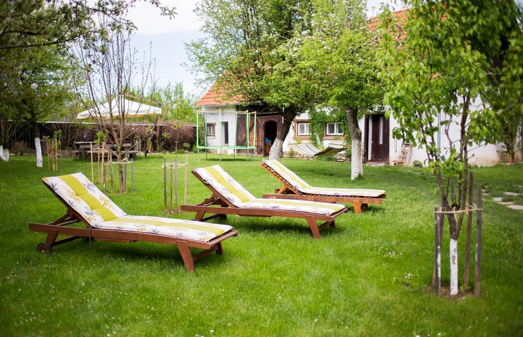 Casa Mosului - Transfagarasan Bed & Breakfast Cîrţişoara Esterno foto