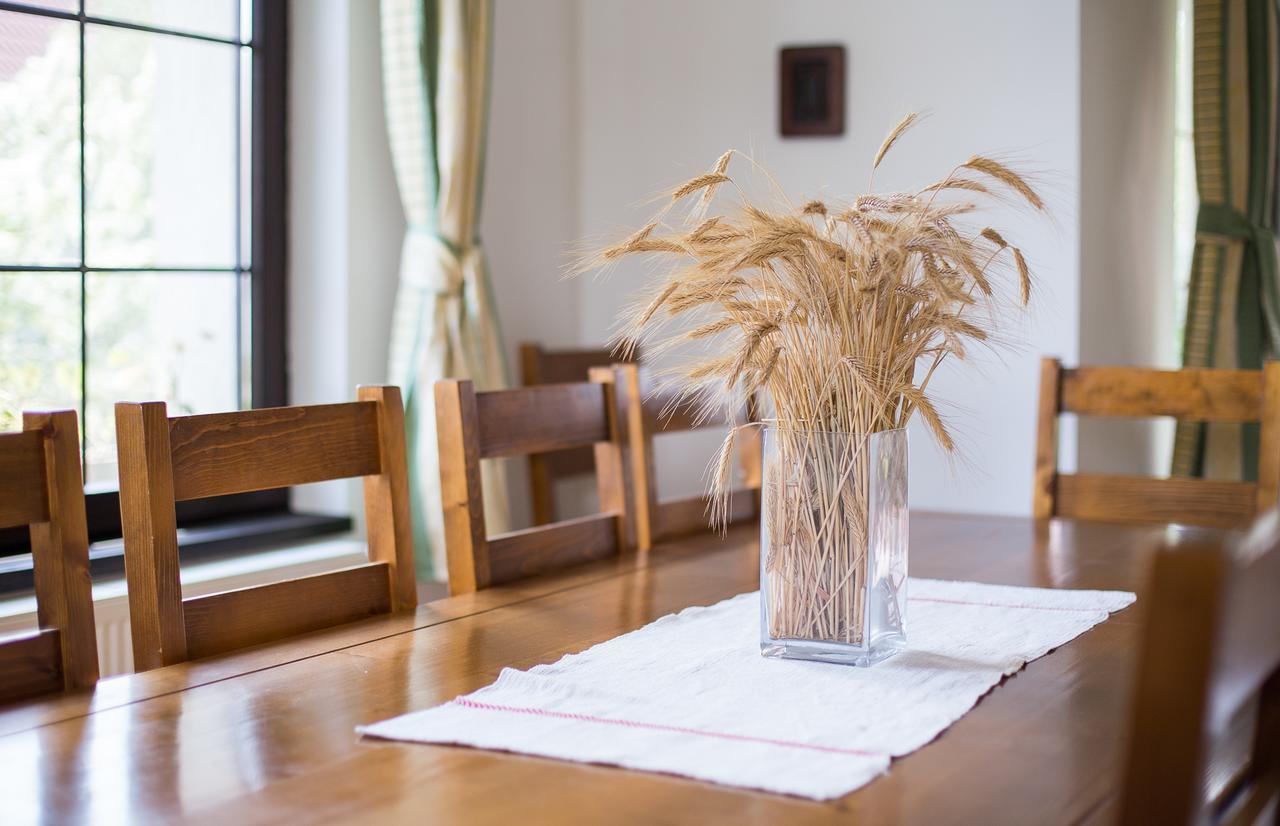 Casa Mosului - Transfagarasan Bed & Breakfast Cîrţişoara Esterno foto