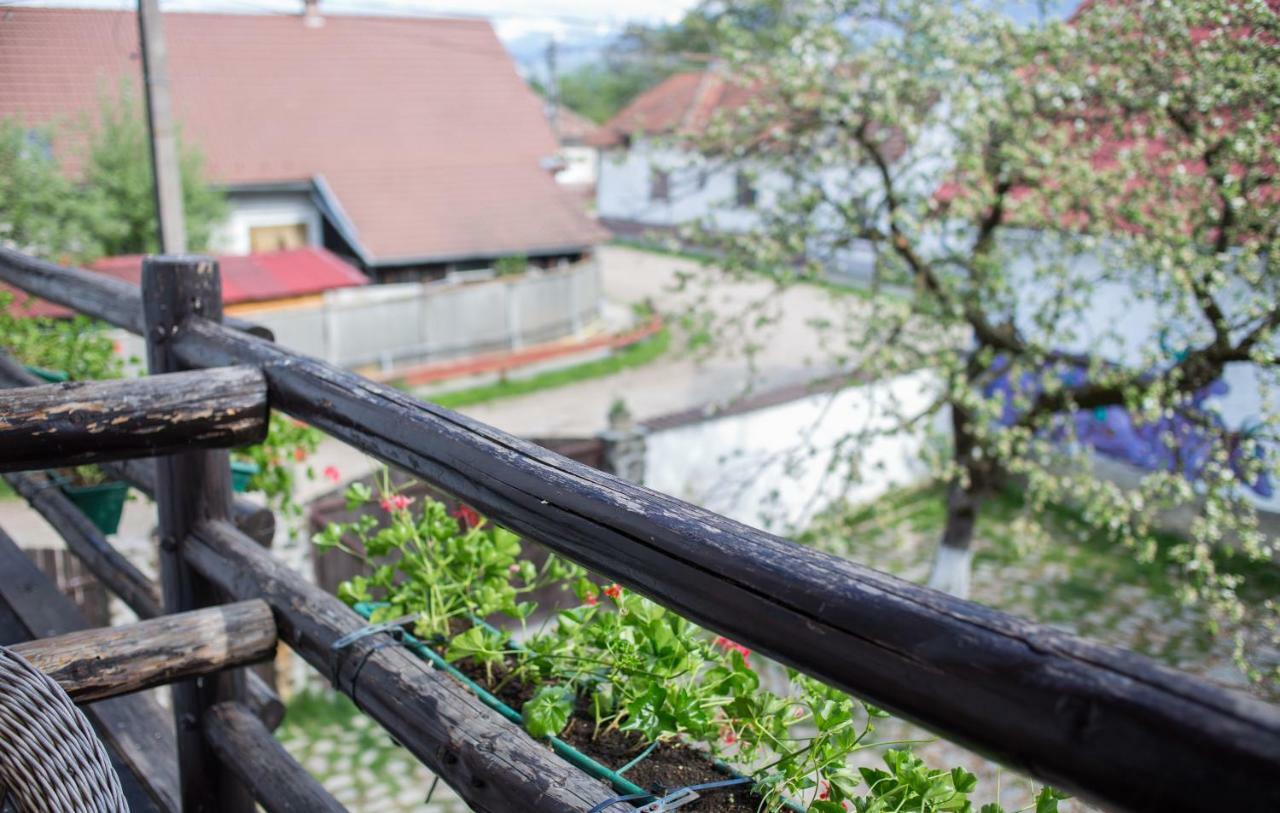 Casa Mosului - Transfagarasan Bed & Breakfast Cîrţişoara Esterno foto